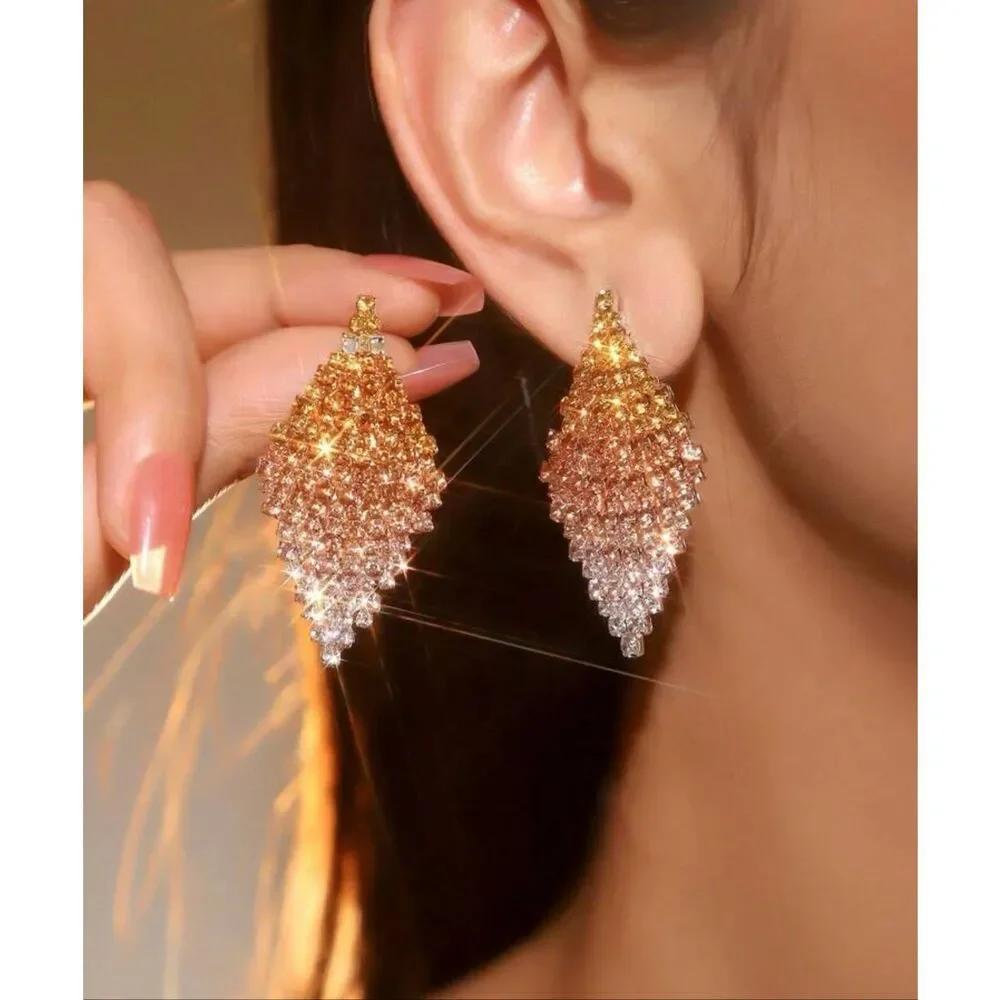 Gorgeous Ombré Earrings